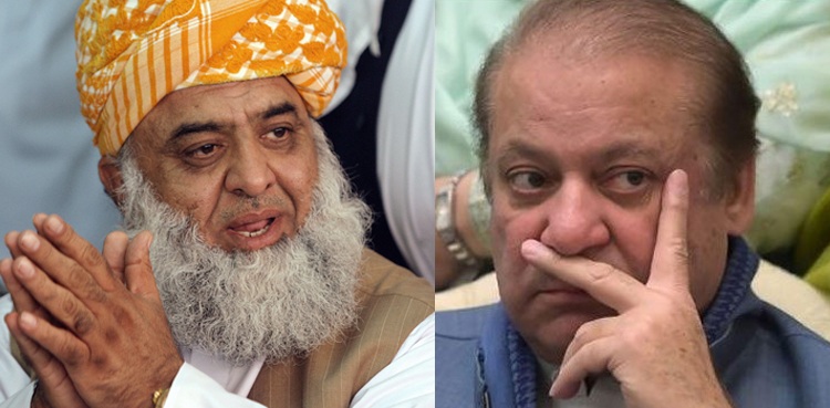 Nawaz, Fazl discuss future strategy, agree to stick to PDM agenda