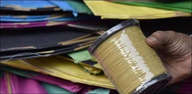 Punjab Assembly moved to declare kite, string-making non-bailable offence