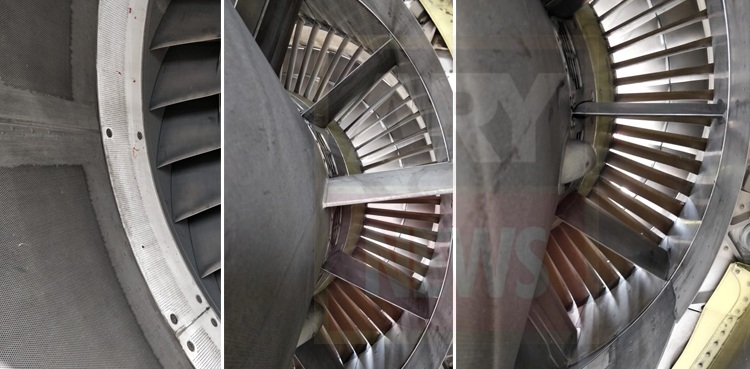 PIA planes suffered 66 bird-hit incident this year: spox