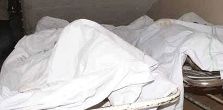 Four dead bodies found in parked car near Bhera