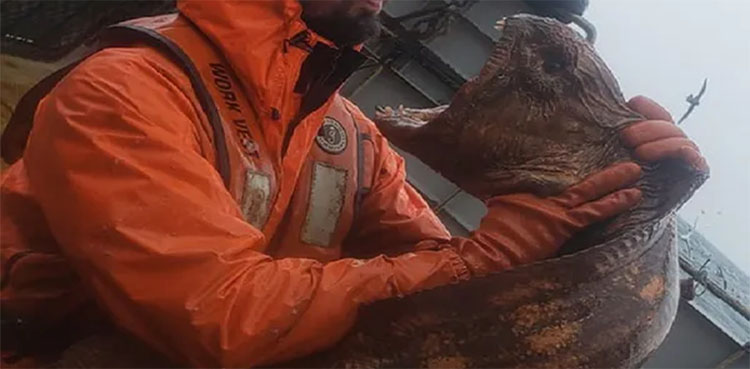 Horrific images: Fisherman catches 'real-life sea monster'