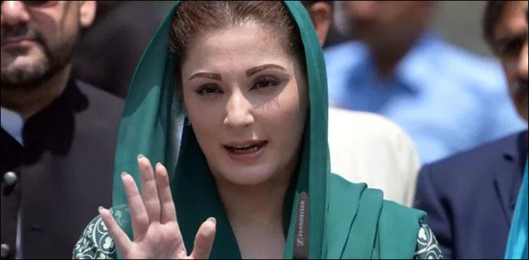 Another alleged audio of Maryam Nawaz leaks
