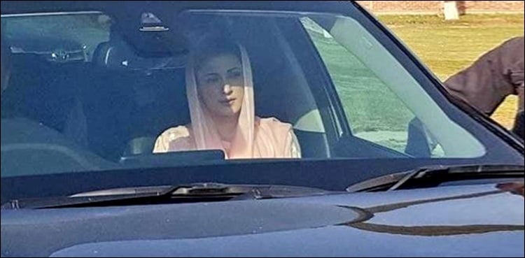 LHC approves interim bail of Maryam Nawaz, seeks NAB reply