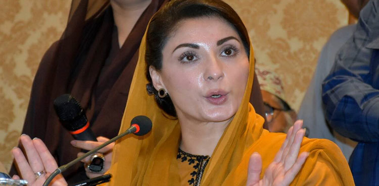 PML-N, JUI-F are real opposition parties: Maryam Nawaz