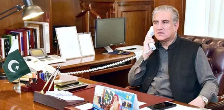 FM Qureshi lauds Saudi Arabia's role in resolving GCC differences