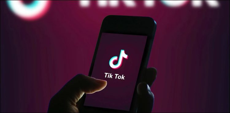 '28.9 million obscene TikTok videos removed, 1.4mn accounts blocked'