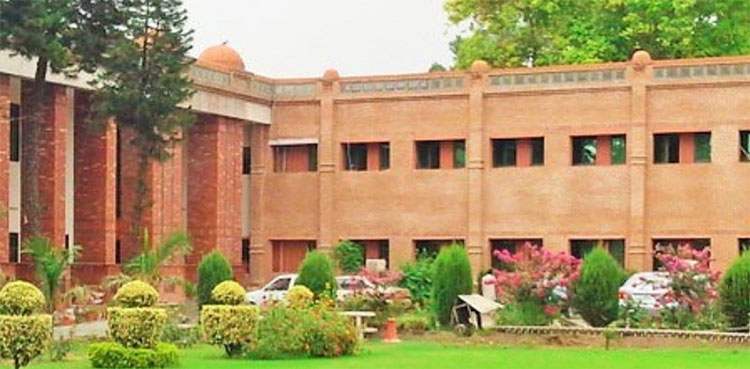 Vice chancellors appointed in seven KP universities: Kamran Bangash