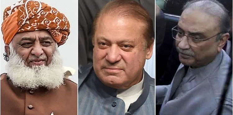 Zardari, Nawaz, Fazal discuss situation after Senate election