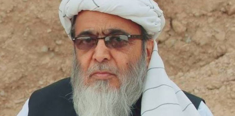 Show-cause notice should be served to PDM's head: JUI's Hafiz Hussain