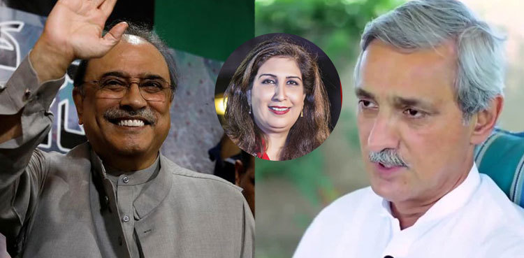 Shehla Raza deletes tweet on 'Jahangir Tareen joining PPP'