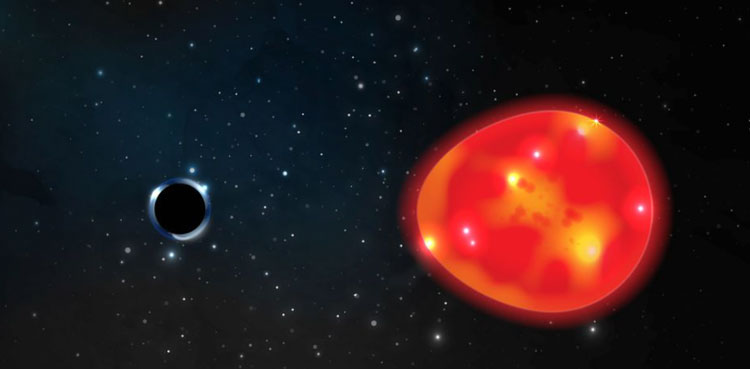 A black hole dubbed 'the Unicorn' may be galaxy's smallest one