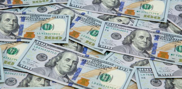US dollar, euro, pound shed value against rupee during week
