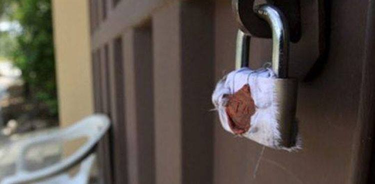 17 schools sealed in Attock after rise in COVID-19 infections