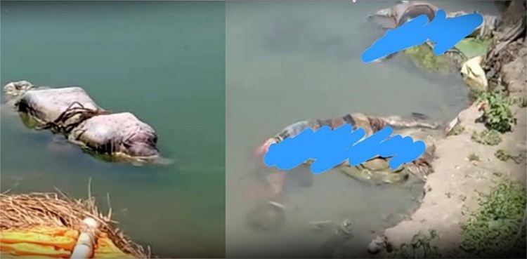 COVID DREAD: Over 150 dead bodies found afloat in Indian's Ganga river