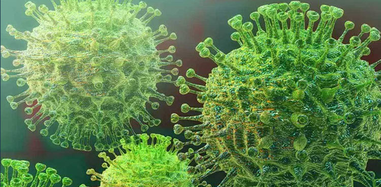 25 more fall prey to COVID-19 in Sindh