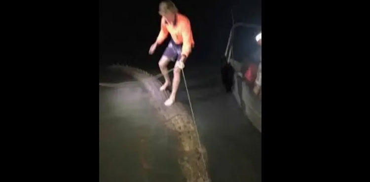 Man rides a giant crocodile like a surfboard, photo goes viral