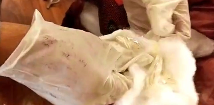 Bid to smuggle heroin concealed in garment parcel foiled