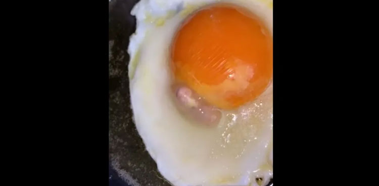 VIDEO: Woman finds dead ‘chick’ inside fried egg