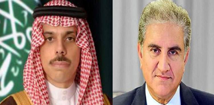 FM Qureshi, Saudi counterpart discuss grave situation in Palestine