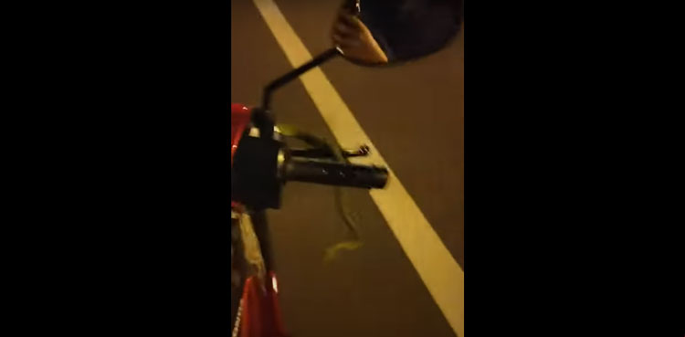 WATCH: Biker continues riding with snake entangled around handle
