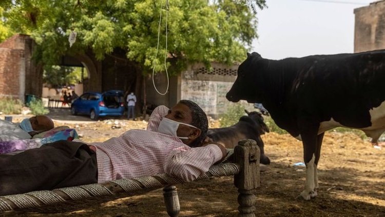 Delta COVID variant now dominant strain worldwide, US deaths surge