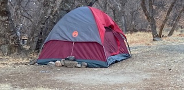 'Missing' woman eats grass, moss to survive six months in woods