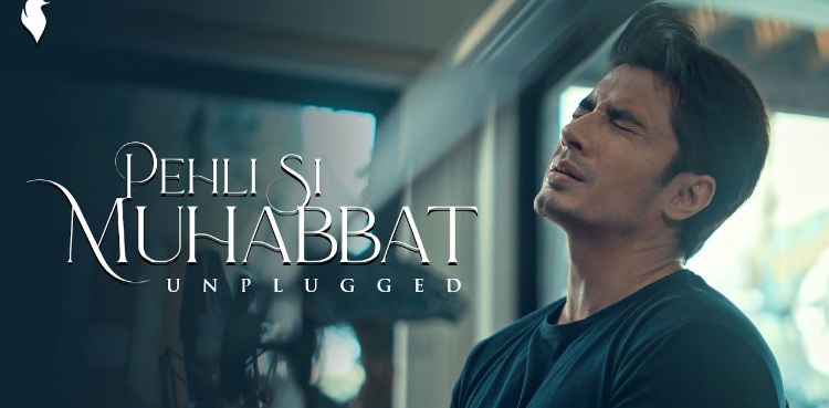 Ali Zafar drops unplugged version of 'Pehli Si Muhabbat' OST
