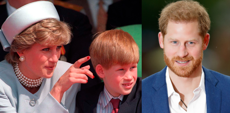 Prince Harry's memoir to reveal who he blames for Diana's death?