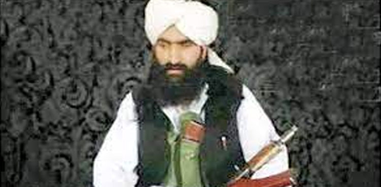 TTP chief Noor Wali Mehsud 'killed in drone attack in Afghanistan': sources
