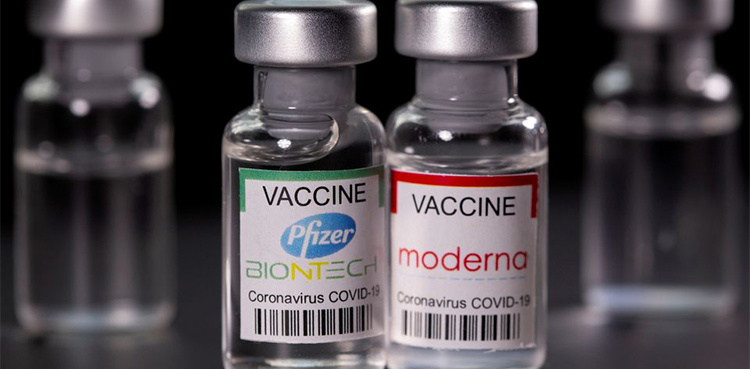 Immune cell "factories" work longer after mRNA vaccines like Pfizer