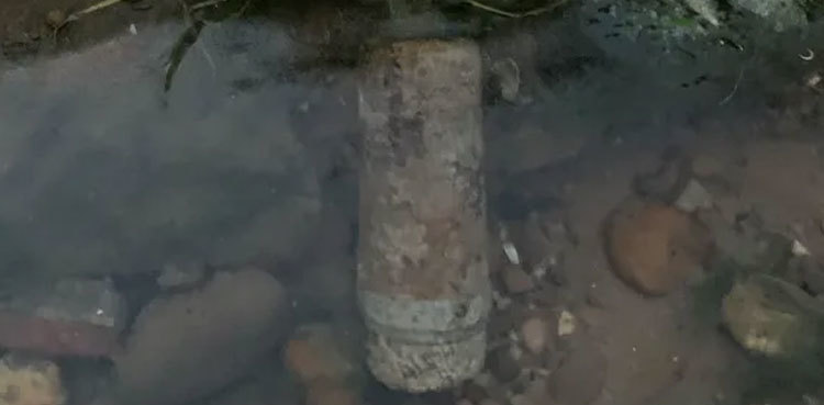 Family finds out they had a picnic next to a live WWII bomb