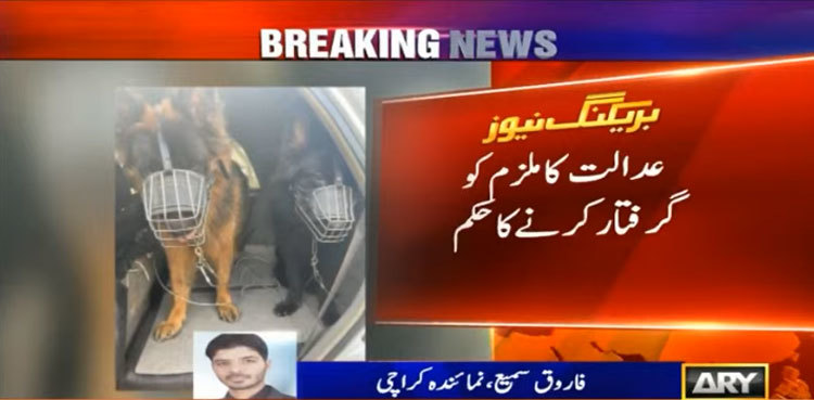 Pet dog attack case: Court dismisses bail plea of owner