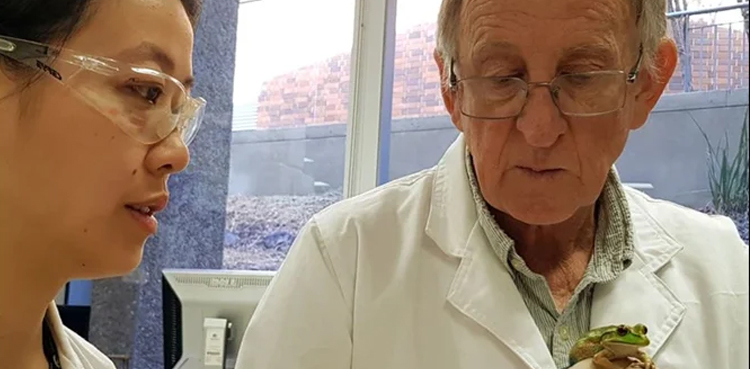 Frog whisperer: Scientist speaks to frogs, fears their silence