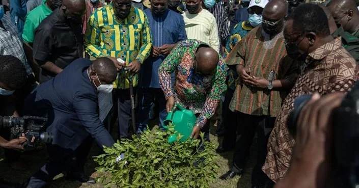 Ghana plants 5 mn trees to battle forest depletion