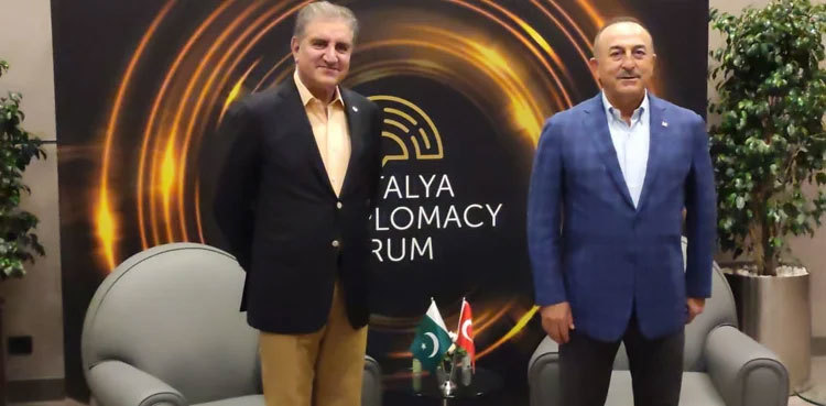 FM Qureshi, Turkish counterpart discuss withdrawal of int'l troops from Afghanistan