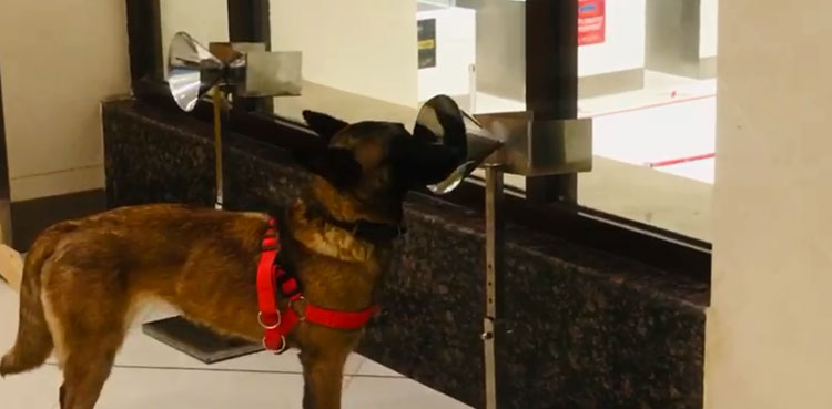 26 inbound passengers test positive for COVID-19 at Peshawar airport