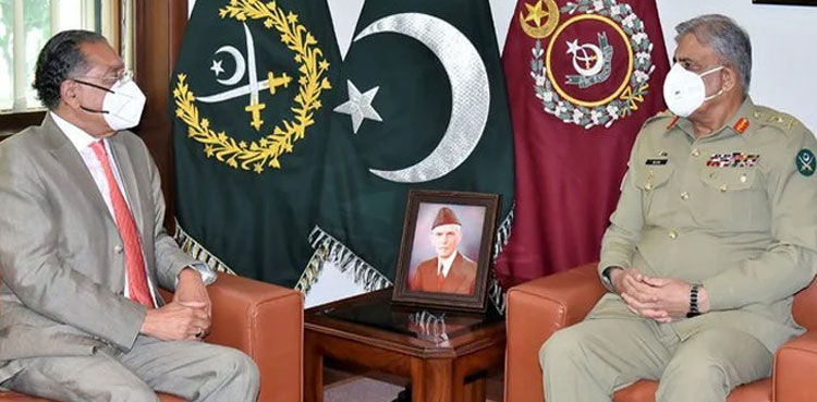 Pakistan's ambassador to UN Munir Akram meets COAS Bajwa