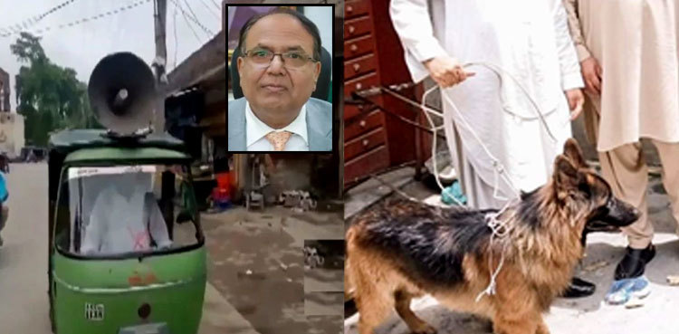 Gujranwala commissioner's missing dog finally found, thanks to state machinery