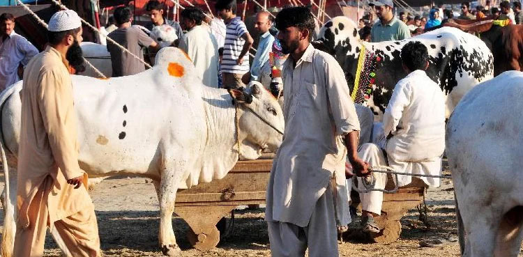 Covid fourth wave: Sindh govt issues guidelines for Eidul Azha