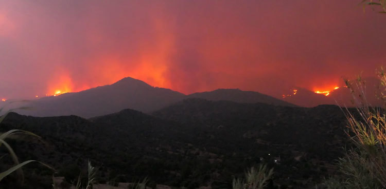 Four dead in Cyprus' worst forest fire in decades