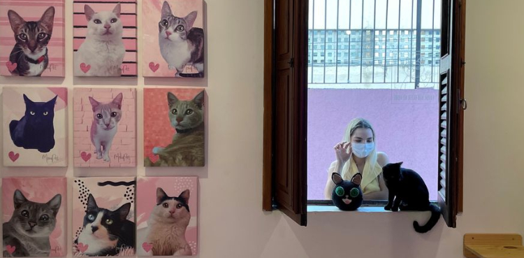 Cats and coffee combine for a cause at this Rio cafe