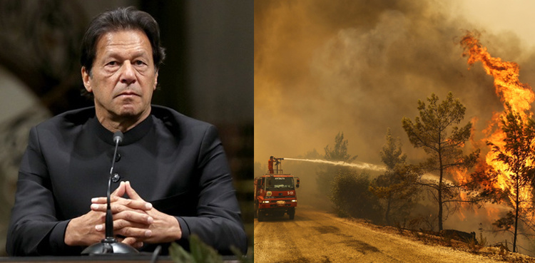 Deadly wildfires in Turkey: PM says Pakistan stands ready to offer any help