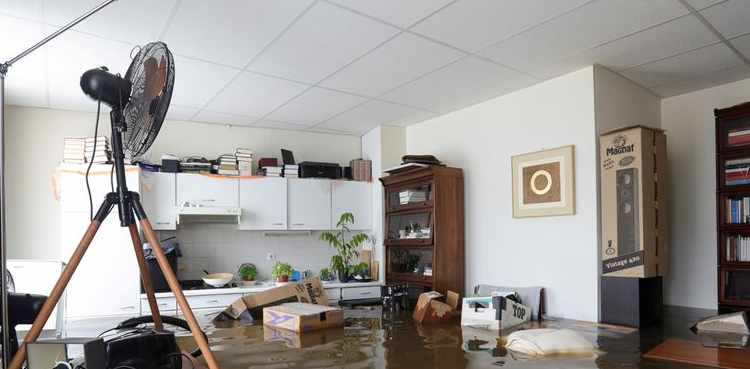 Netherlands on high alert for flooding of swollen rivers