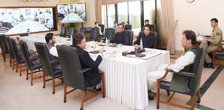 Punjab to play leading role in monsoon tree plantation campaign, PM told