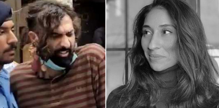 Court reserves verdict on bail plea by Zahir Jaffer's co-accused parents