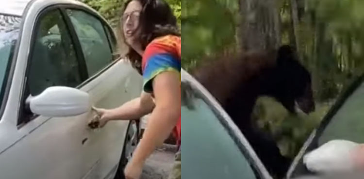 Viral video: Man trying to scare away bear that broke into his vehicle