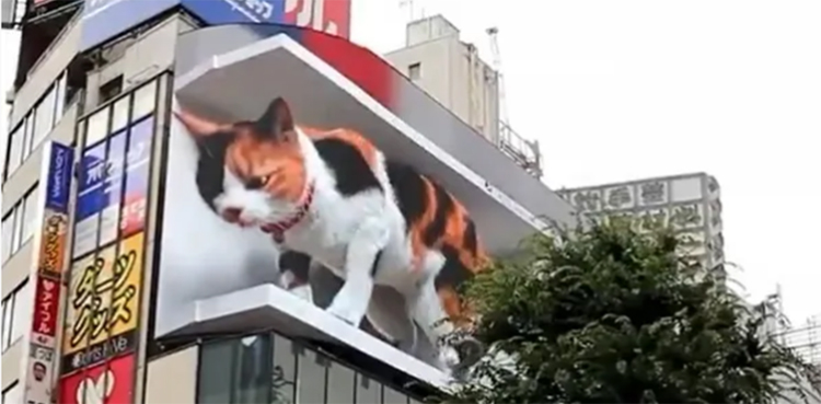 Video of giant 3D cat moving on 'biggest' billboard goes viral