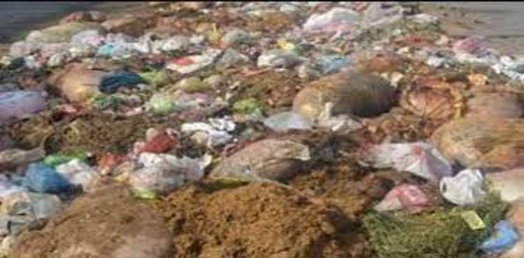 Eidul Adha: Karachi smells foul with unattended animal remains