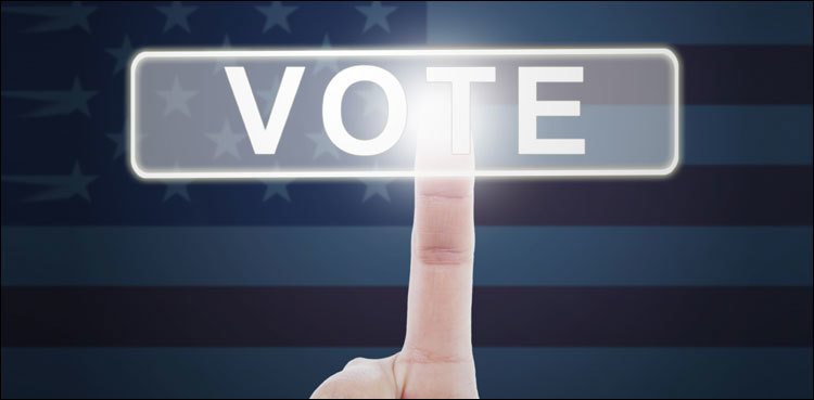 Govt asked to provide time frame for developing secure i-voting system