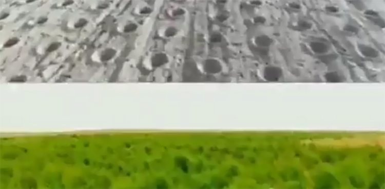 PM Imran Khan shares 'amazing results' of billion tree plantation drive in Bhakkar